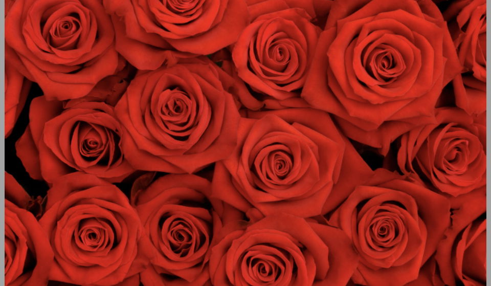 Goddess Aaliyah ✨🌹 photo