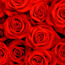 Goddess Aaliyah โจ๐น photo