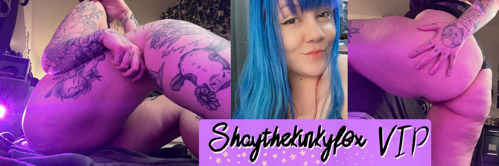 Shay the Kinky Fox photo