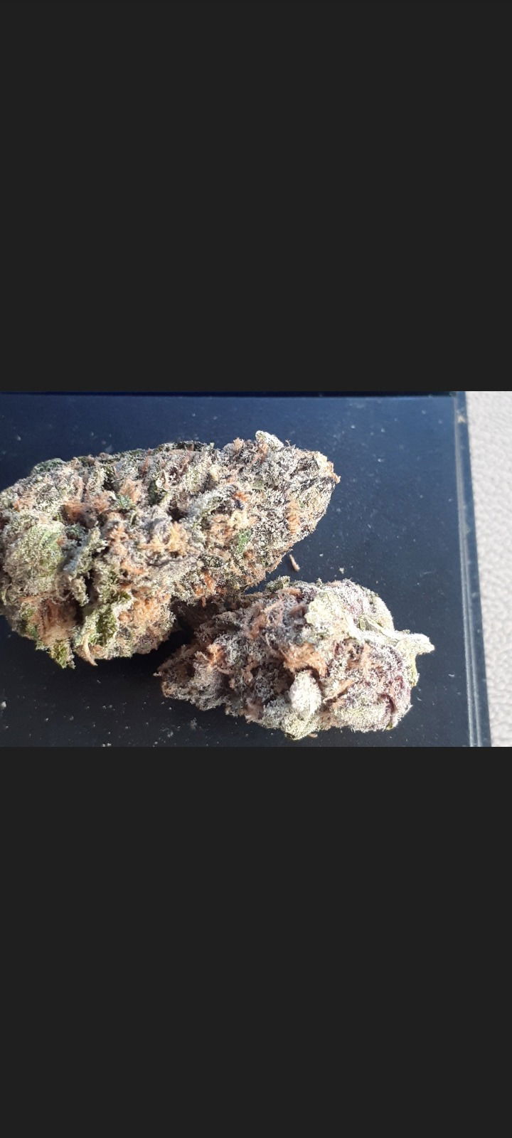 Jas Secret 💦 photo