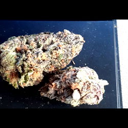 Jas Secret 💦 photo