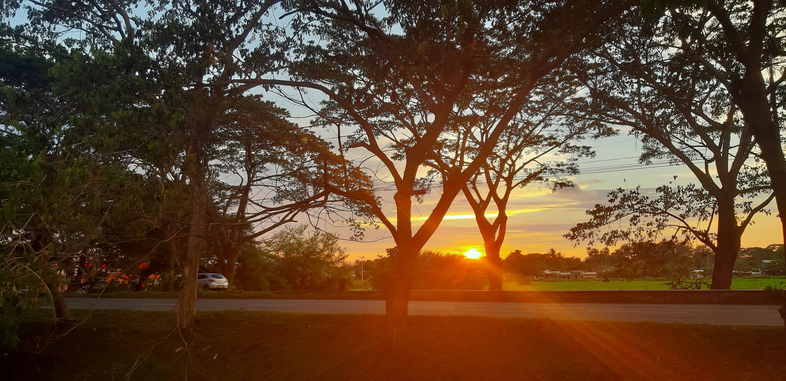 Andres zambrano photo