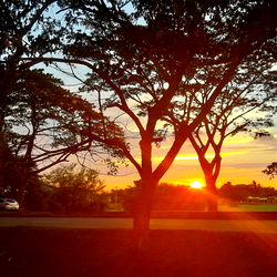 Andres zambrano photo