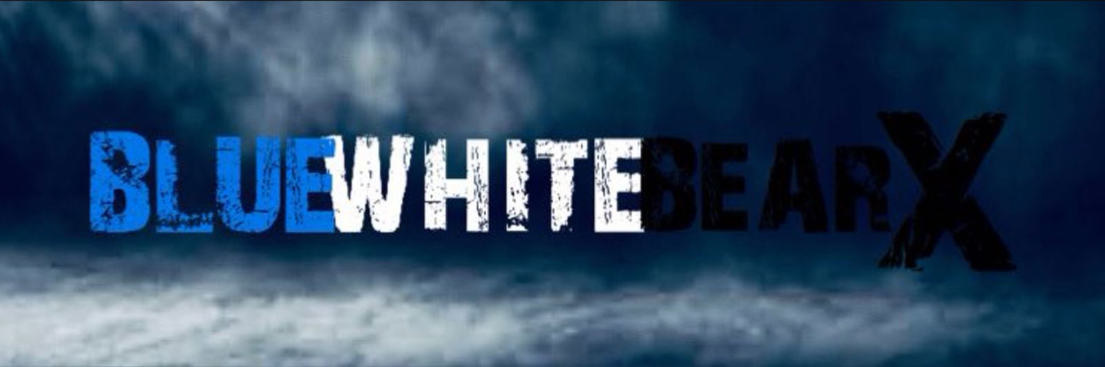 BluewhitebearX photo