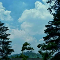 A serene day at a mountain resort