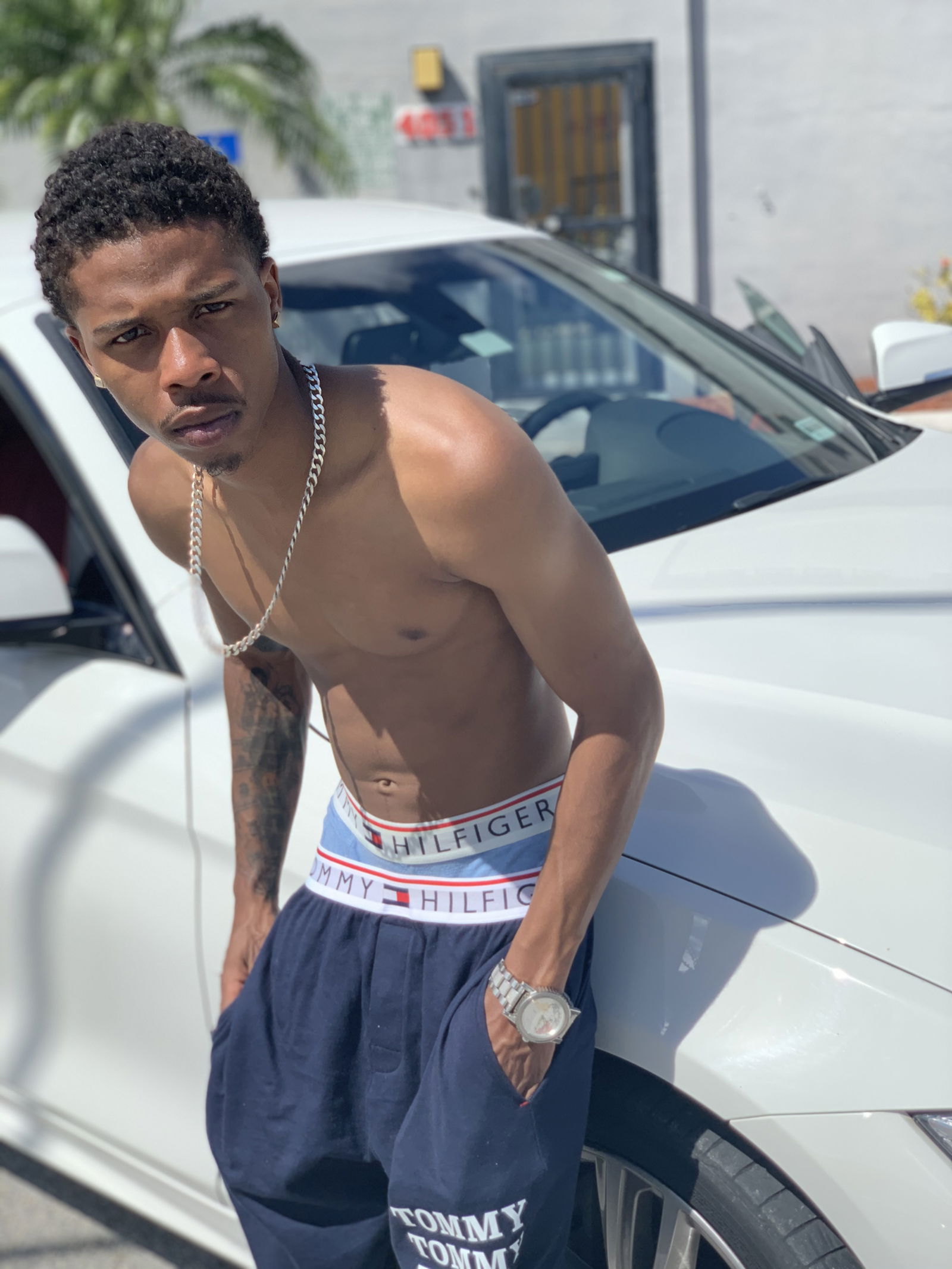 Top Performer professional 🐱🥊 photo