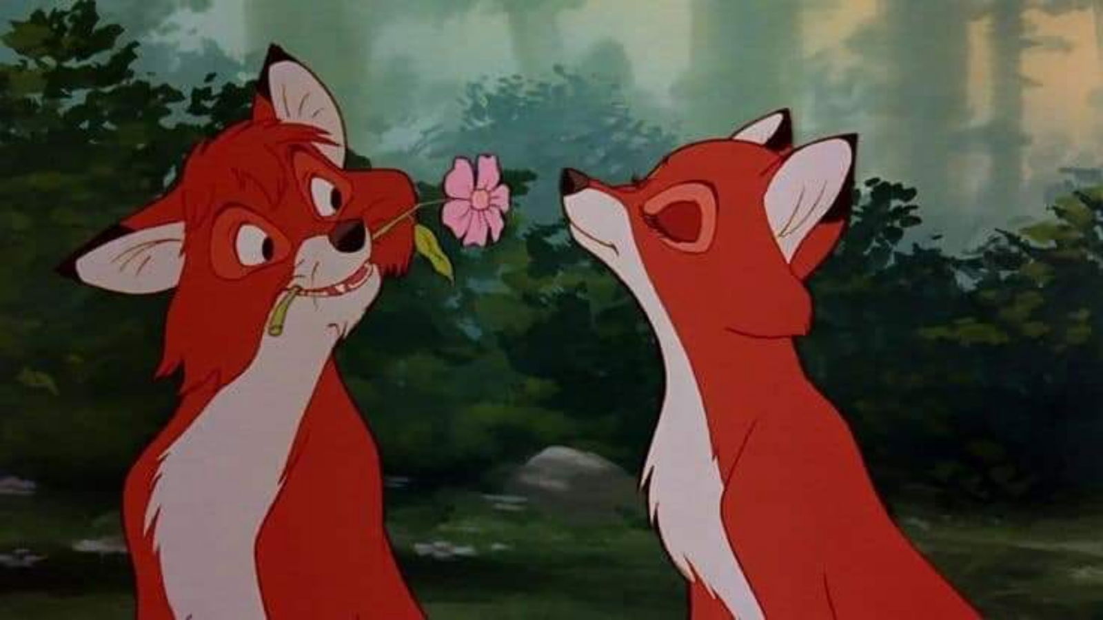 ⚘Ꮑ×ᏦᏦᎨ photo