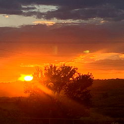 Sunset Painting - That Girl