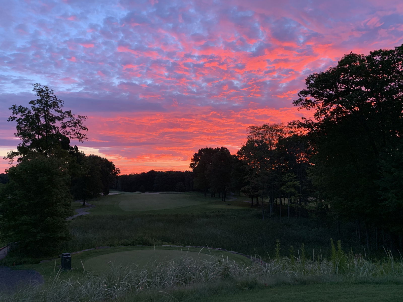Hard Pour Corn photo