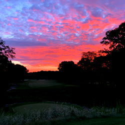 Hard Pour Corn photo
