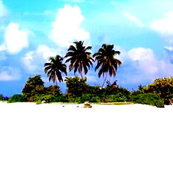 Alex Wood 🔥 photo