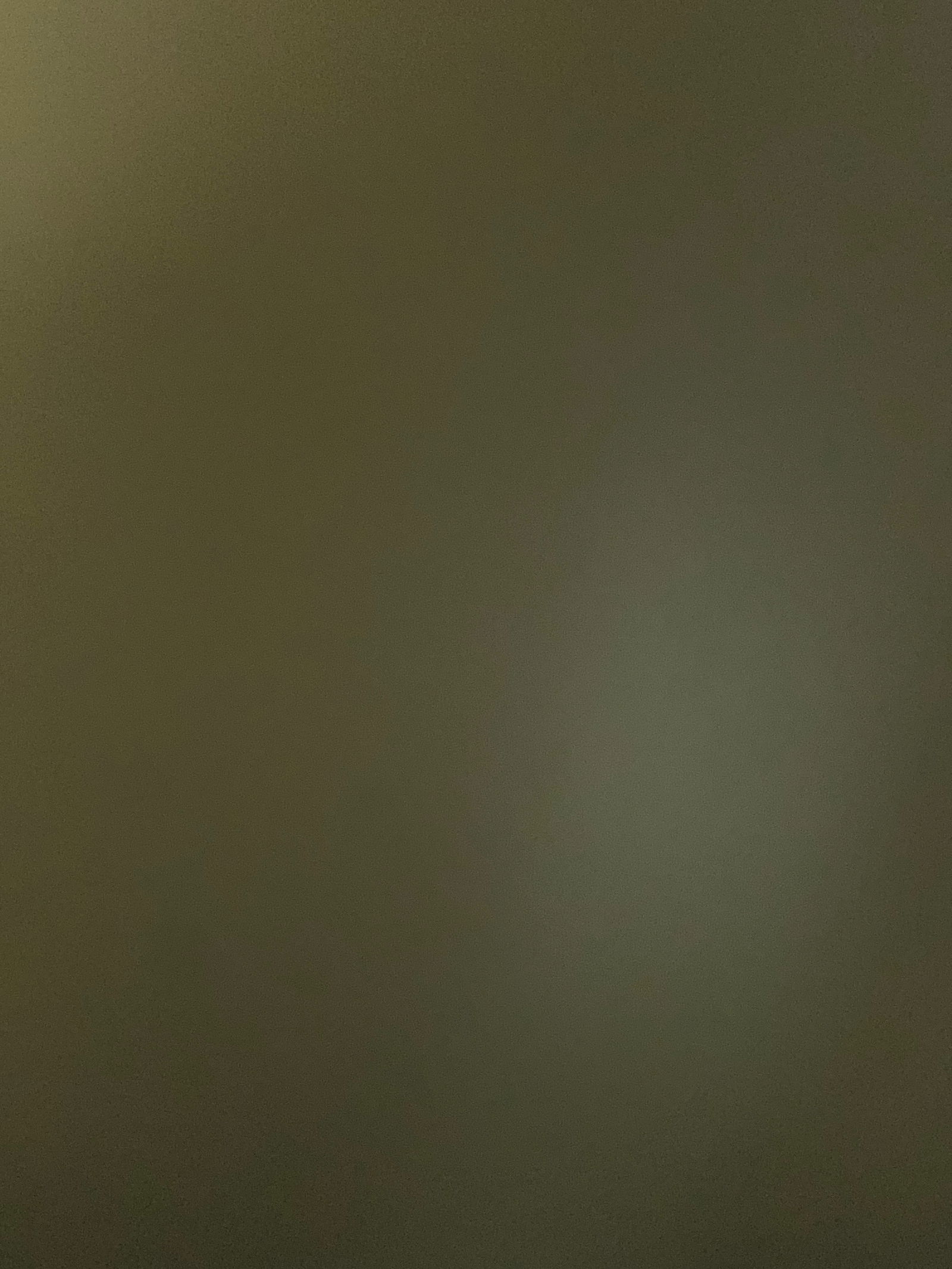 Ariana Agostina soria photo