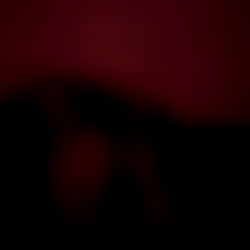 Flori ๐น๐ photo