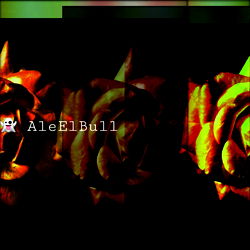 AleElBull photo