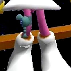 ๐ฏ๐๐๐ photo