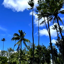 Jeffrey Babcock photo