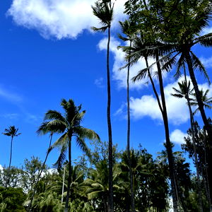 Jeffrey Babcock photo