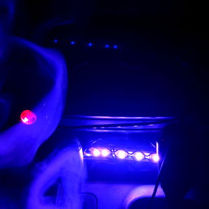 GoddessMischief photo