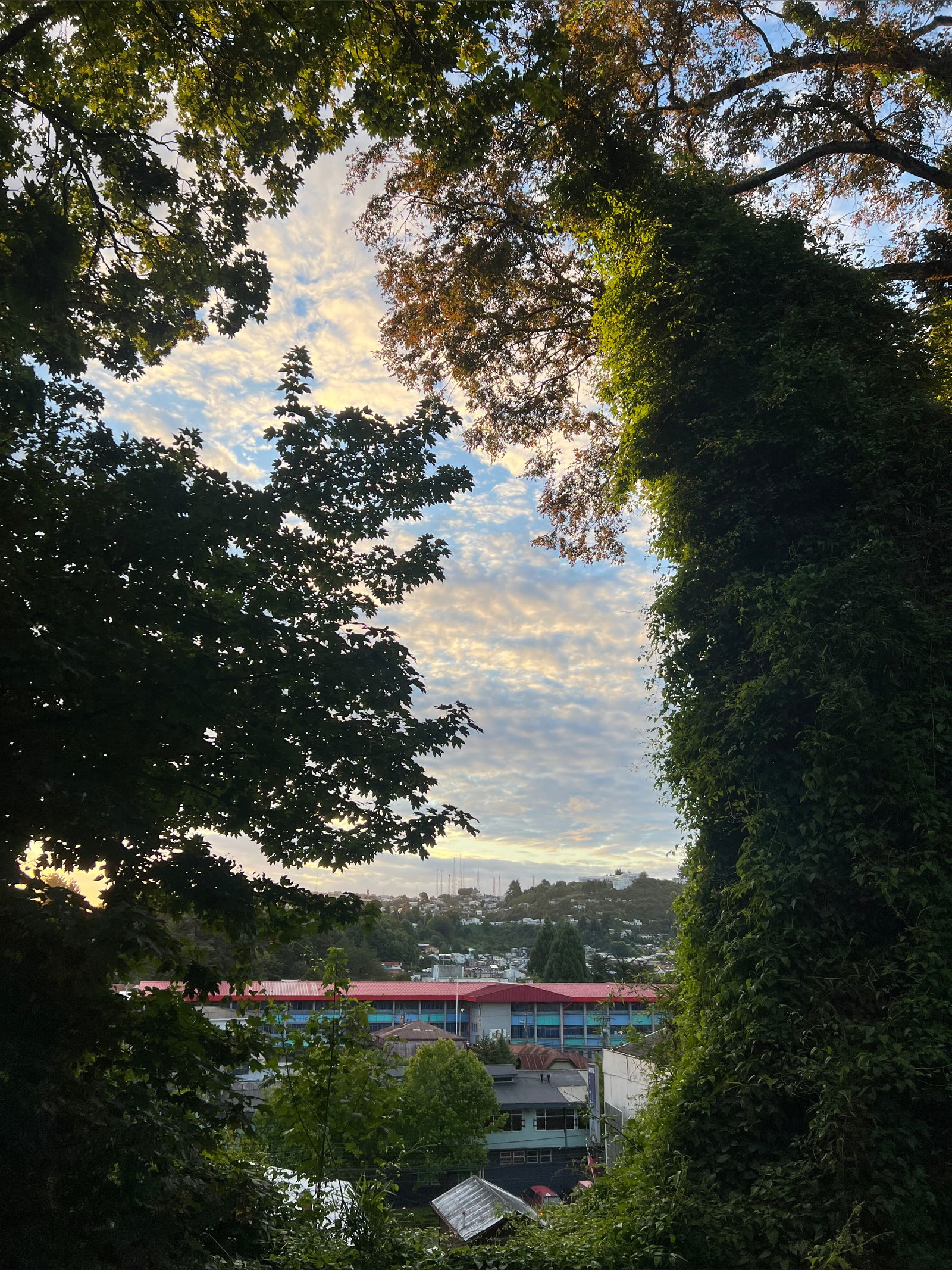 christian luna. photo