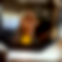 Persian Playmate photo