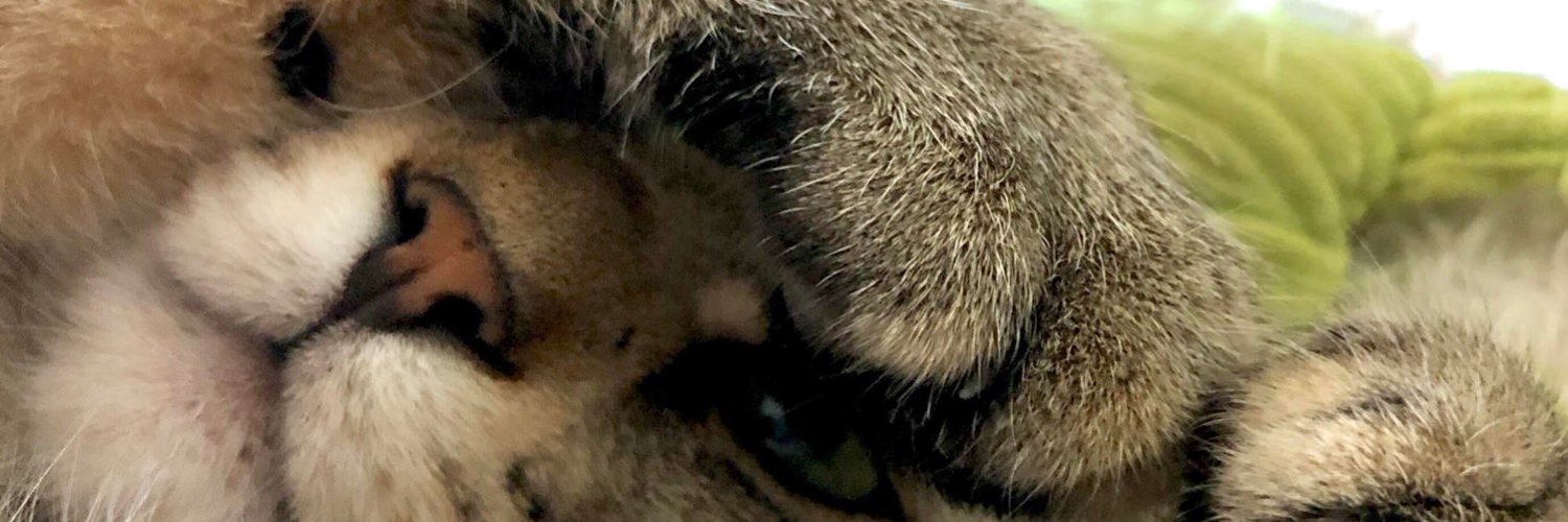 Ellie ^v^ (Customs open!) photo