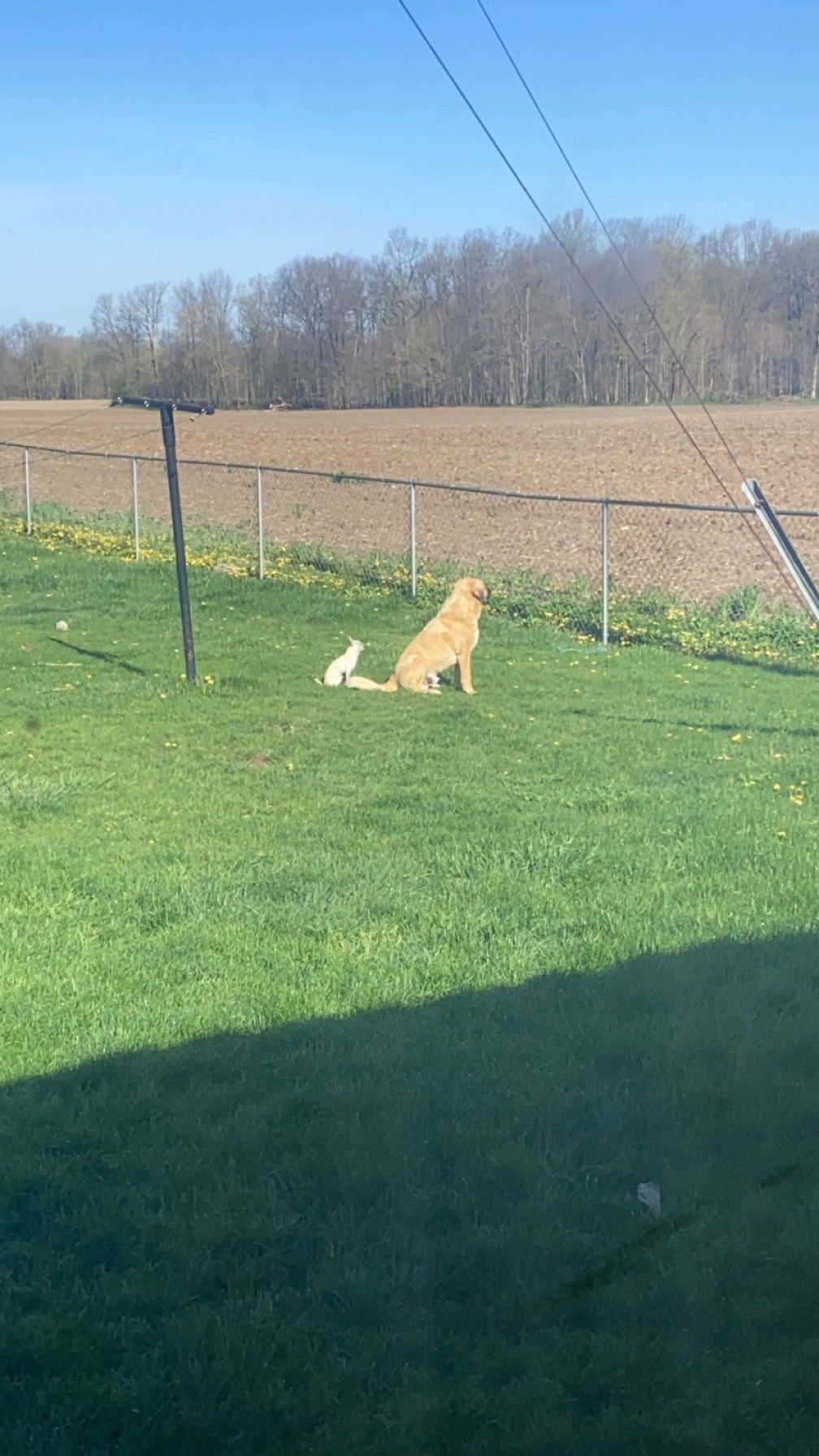 Breanna Kristine photo