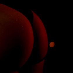 Brunette OnlyFans Model