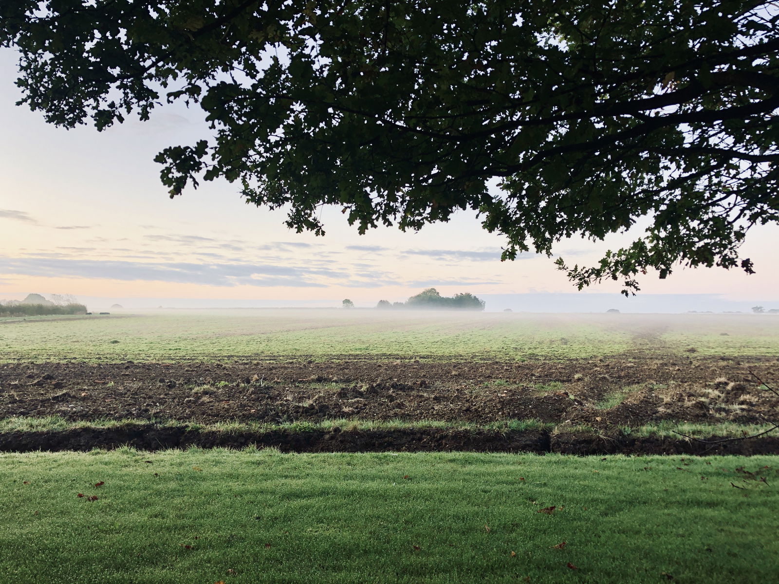 Andy Roberts FREE Account photo