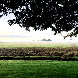 Andy Roberts FREE Account photo