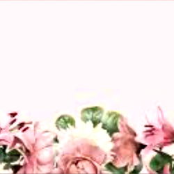 Destiny Castle photo