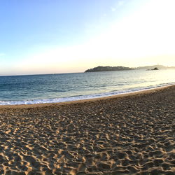 White Bean ๐งธ photo