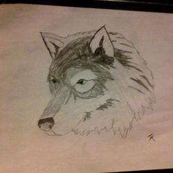 Artwork of the Big Bad Wolf from Southern Illinois