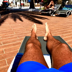 A Sunny Day at the Beach with Mister Muffin