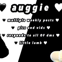 auggie 🤍 photo