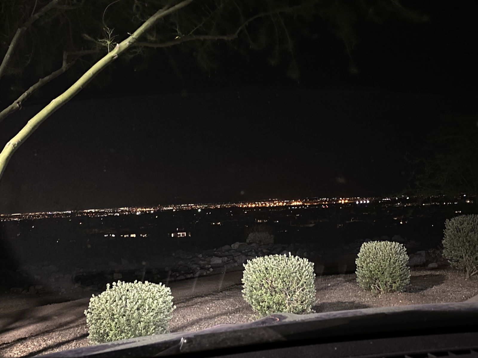 alexis williams photo