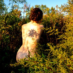 Barefoot Babe in The Woods