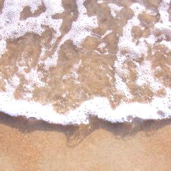 Beach Scenery with Ocean Waves