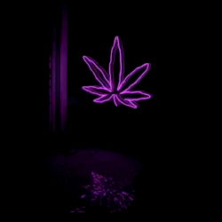 Lil.blu.diamond photo