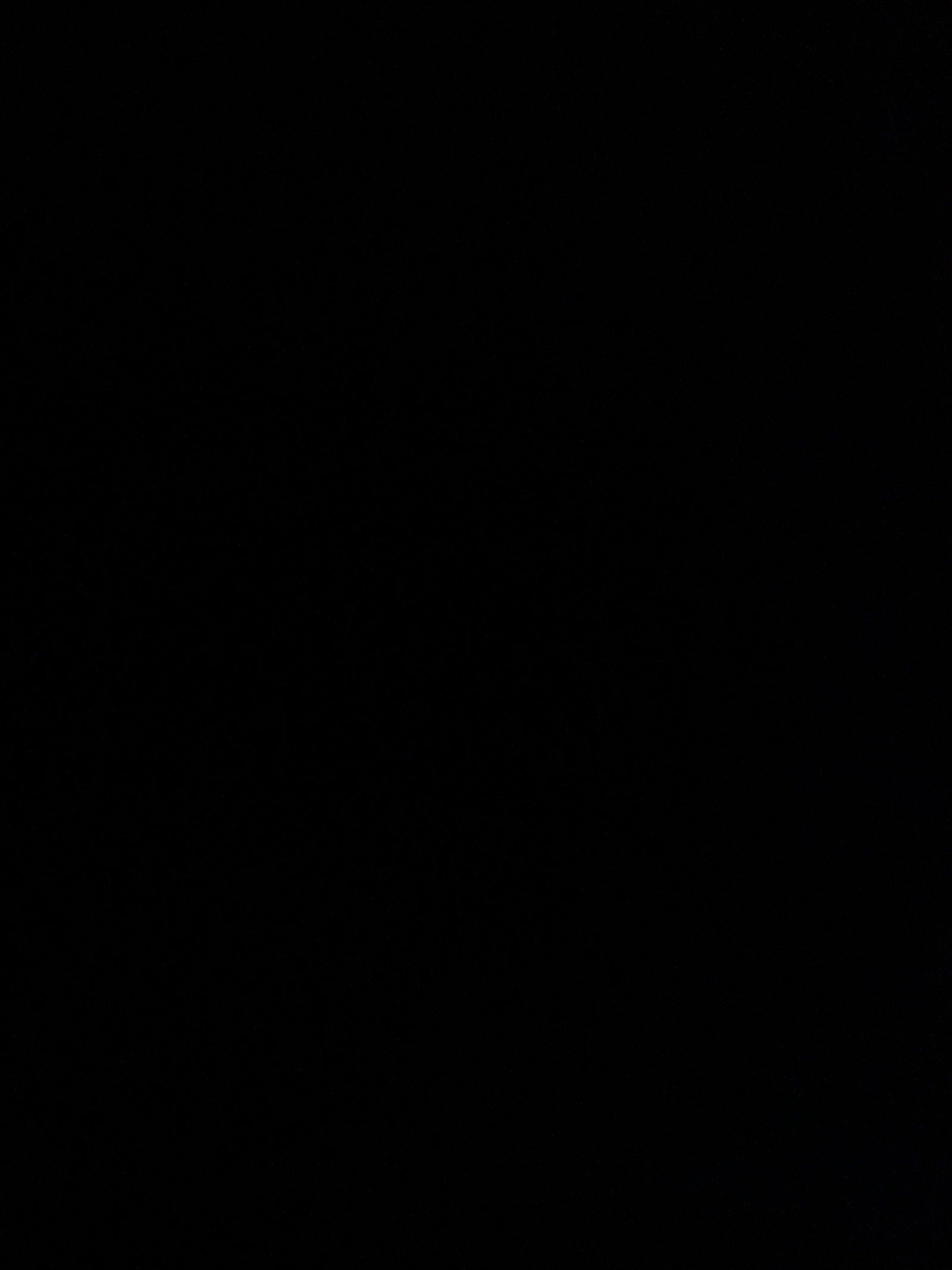 anastasia rose photo