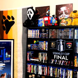 The Cinema Bear photo