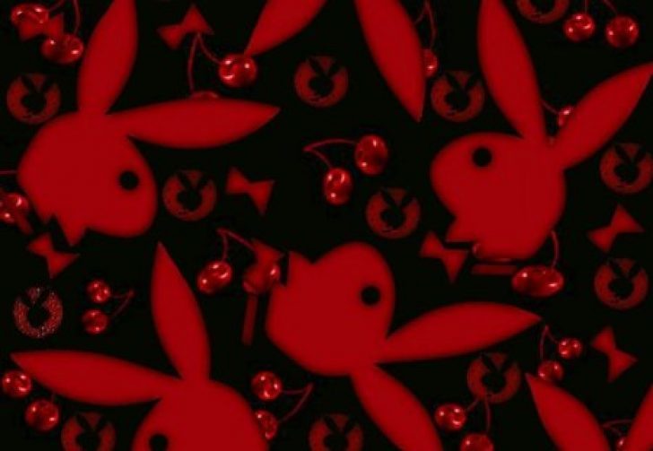 Dianastasia marie Cuadrado photo