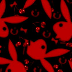 Dianastasia marie Cuadrado photo