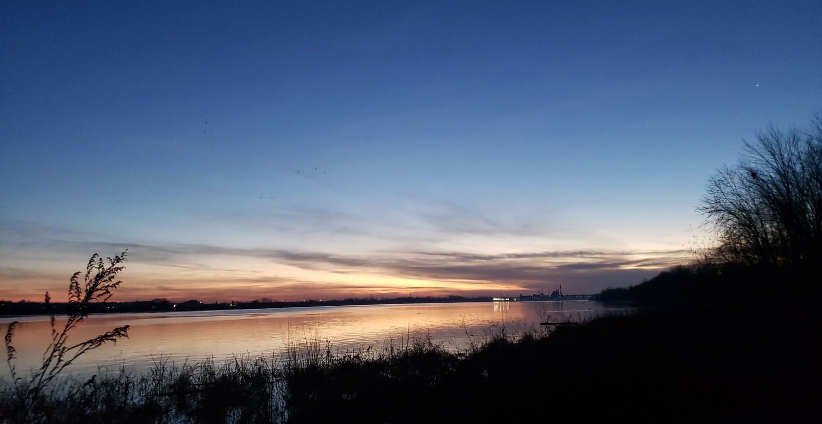 Sebastion Alexander photo