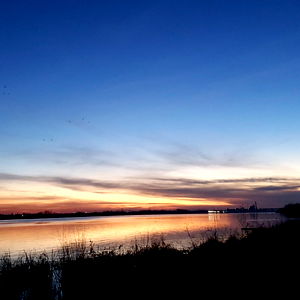 Sebastion Alexander photo