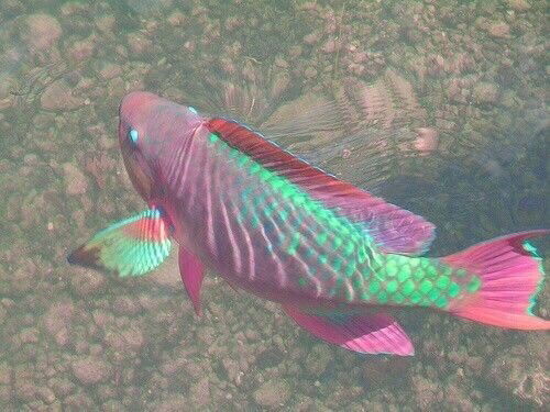 Ellis Angel👼🏻🪽 photo