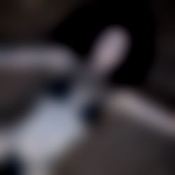 Chlo Lunaa - Submissive Goth ๐ค photo