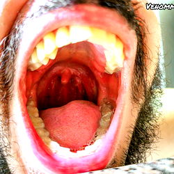 AlexanderVenom photo