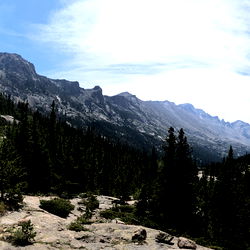 Annie Grey's Adventure: Exploring a Mountainous Trail