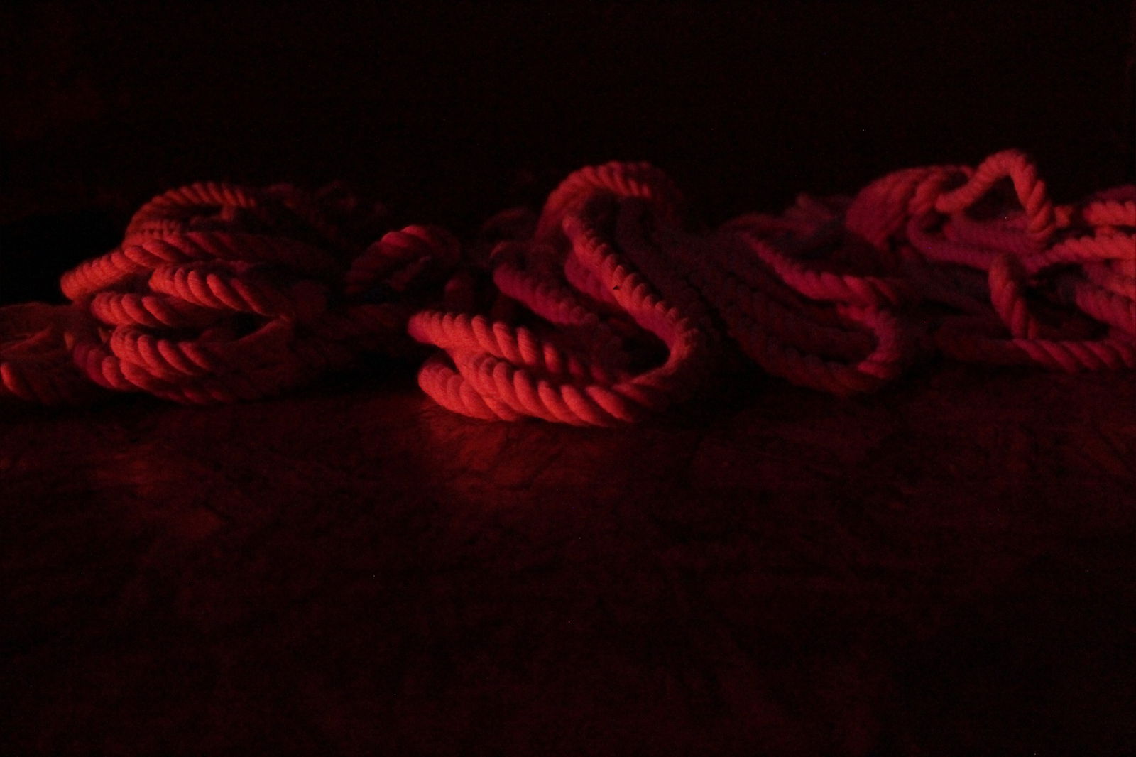 Godess Nikolle photo