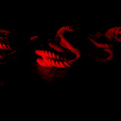 Godess Nikolle photo